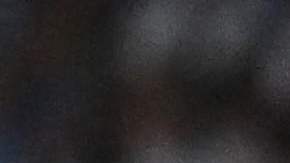 Jugadores de Argentina festejan luego de la victoria en penales ante Países Bajos.