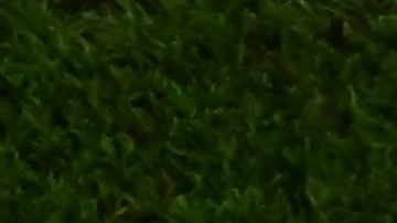 CR7 se retiró del terreno de juego sumergido en llanto.