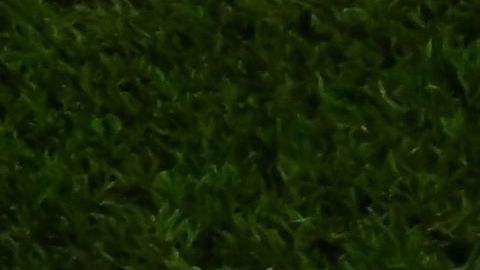 CR7 se retiró del terreno de juego sumergido en llanto.