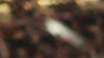 Tributo en el puesto donde estaba sentado Grant Wahl minutos antes de sufrir el episodio que le quitó la vida.