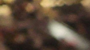 Un tributo hacia Grant Wahl en el palco de prensa del estadio Al Bayt durante el encuentro entre Inglaterra y Francia.