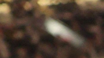 Un tributo hacia Grant Wahl en el palco de prensa del estadio Al Bayt durante el encuentro entre Inglaterra y Francia.