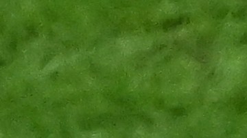 Mbappé es es goleador de la Ligue 1 con 12 dianas.