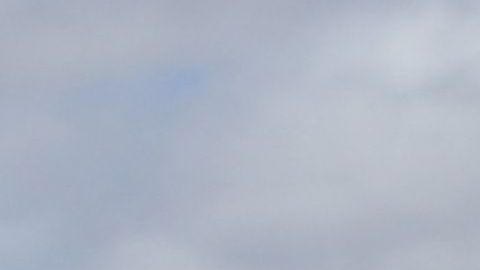 Arizona Migrantes Estado de emergencia
