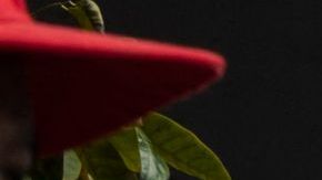 VENEZUELA-US-JUSTICE-SAAB-PROTEST-FABRI