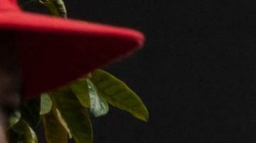 VENEZUELA-US-JUSTICE-SAAB-PROTEST-FABRI