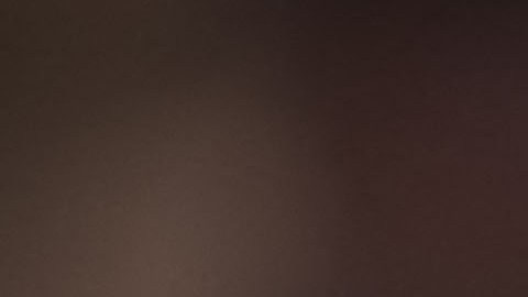 La fanática Argentina no tuvo ningún tipo de filtro.