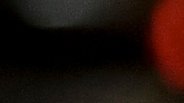 Lionel Scaloni espera para renovar su contrato con la selección argentina