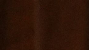 Rusia no es responsable del conflicto en Ucrania, según Putin