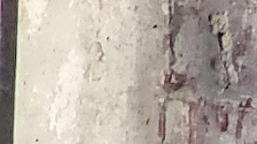 Afghan Women Protest Against New Taliban Ban On Women Accessing University Education