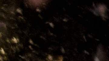 Tormenta de nieve Canadá