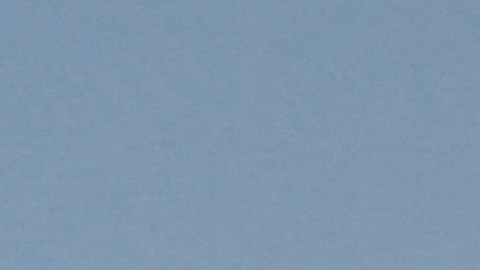 Se trató del vuelo 356 de Delta, un avión 757.