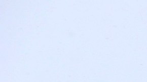 Casa congelada en Hamburg, al sur de Buffalo, NY.