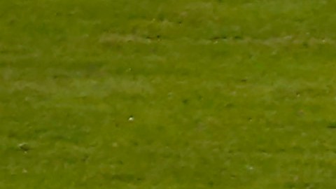 Di María anotando en el Maracaná ante Brasil