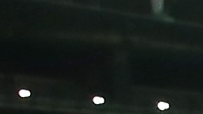 Argentina, vigente campeona de la Copa América, buscaría el bicampeonato en Estados Unidos.