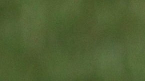 Volodymyr Zelensky Casa Blanca Estados Unidos Washington Ucrania