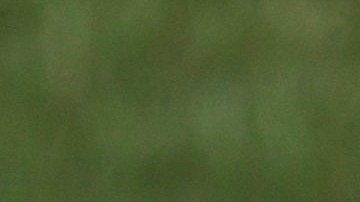 Volodymyr Zelensky Casa Blanca Estados Unidos Washington Ucrania