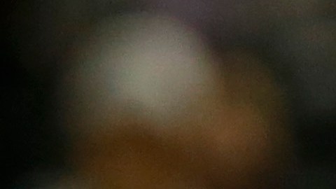 Noah Syndergaard jugó por siete temporadas en los New York Mets