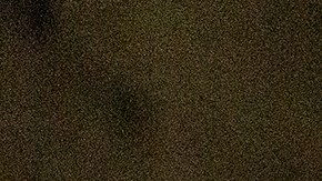 Pilgrimages Return to Mexico City to Celebrate the Day Of Our Lady Of Guadalupe