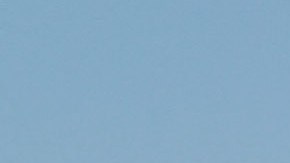 Frío ártico en Florida