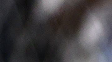 El mexicano pertenece a la escuderia Red Bull