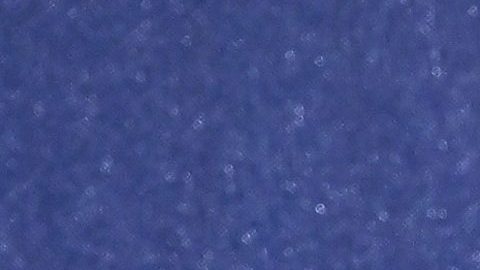 Aún no se sabe cuándo Shakira y sus hijos dejarán España.