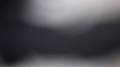 Anna Lewandowska y Robert Lewandowski