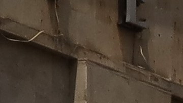 Another earthquake hits Mexico on the Anniversary of the Tremors of 1985 and 2017