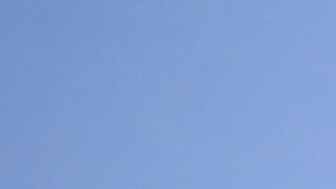 Johnny Knoxville acaba de ser demandado.