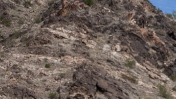 Un juez ordenó el fin del Título 42 en la frontera.