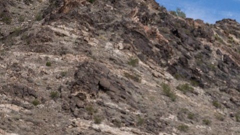Un juez ordenó el fin del Título 42 en la frontera.