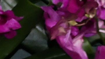 Julia Roberts y George Clooney en el estreno de la cinta "Ticket To Paradise".