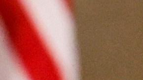 Para poder obtener la ciudadanía hay que haber sido residente permanente documentado durante cinco años, o tener tres años de matrimonio con una o un ciudadano de este país.