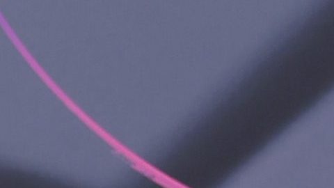 Rosalía ha viajado por el mundo este año con su gira 'Motomami'.