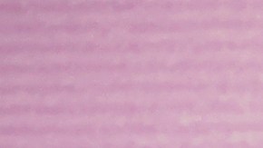 La cantante Anitta se muestra bastante sensual en sus redes sociales.