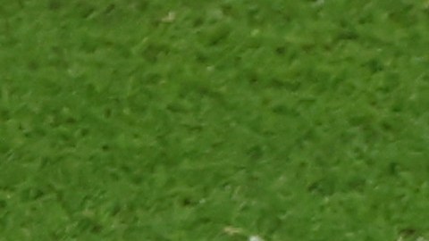 Cody Gakpo celebra su gol ante Senegal en el Mundial Qatar 2022.