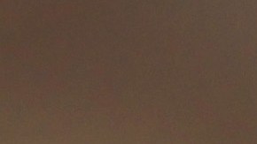 Ivana Knoll durante un encuentro entre Croacia y Bélgica por el grupo F del Mundial Qatar 2022.