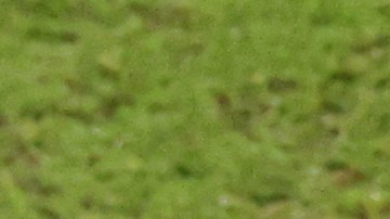 José María Giménez protagonizó diversos reclamos al cuerpo arbitral
