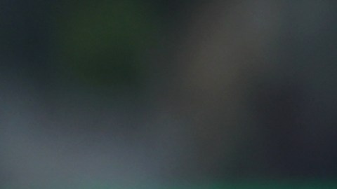 Hwang Hee-chan metió a Corea del Sur en octavos en los últimos minutos  del partido.