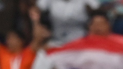 Daley Blind celebra el segundo gol holandés. Christian Pulisic se lamenta.