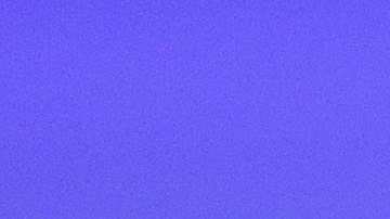 Joe Biden Donald Trump Elecciones 2022