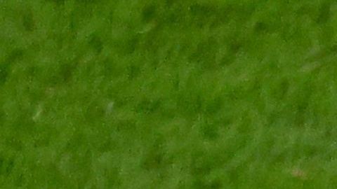 Cristiano Ronaldo se muestra frustrado tras la eliminación de Portugal del Mundial Qatar 2022.