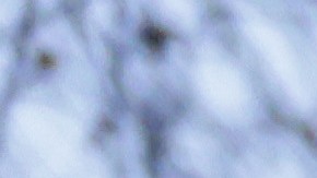 Irán HRW Ejecuciones