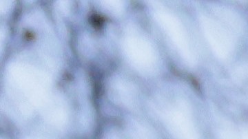 Irán HRW Ejecuciones