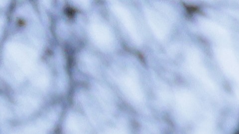 Irán HRW Ejecuciones