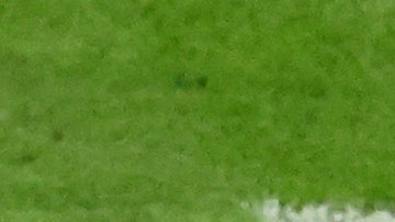 Julián Álvarez en el momento de marcar el segundo gol de Argentina.