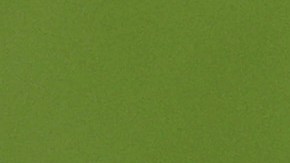 El jugador militaba en un equipo de cuarta categoría de Francia.