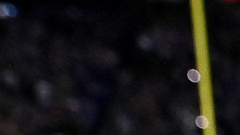 Greg Joseph (C) celebra con sus compañeros al anotar el tiro de campo que le dio la victoria a los Vikings.