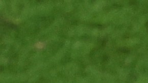 Mbappé marcó los tres goles para su equipo y acertó el primero de la tanda de penaltis, pero igual fue víctima de memes.