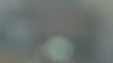 Rodrigo De Paul celebra besando la medalla del título de Argentina en Qatar 2022.